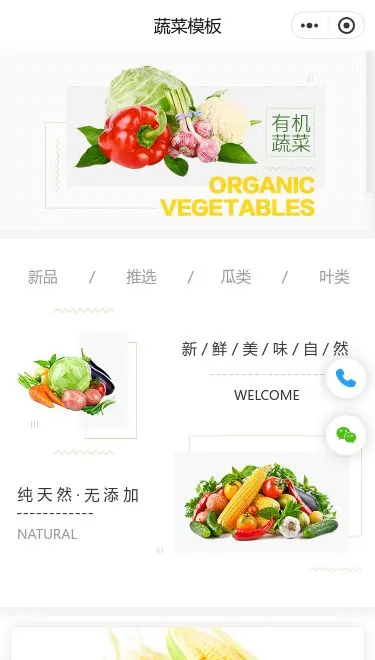 绿色有机蔬菜商城小程序模板首页预览