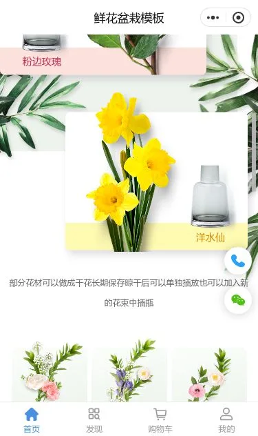 鲜花盆栽商城小程序模板第2个页面预览