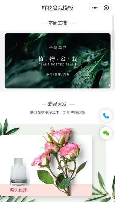 鲜花盆栽商城小程序模板首页预览