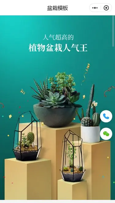植物盆栽商城小程序模板首页预览