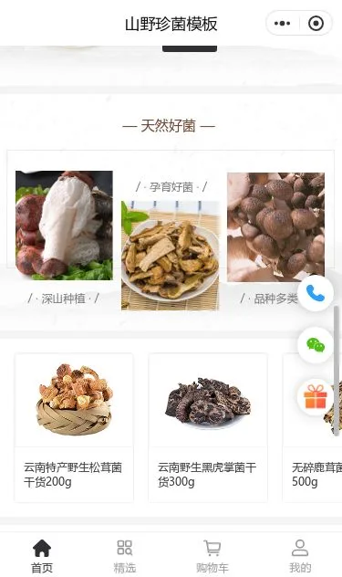 山野珍菌农产品商城小程序模板第3个页面预览