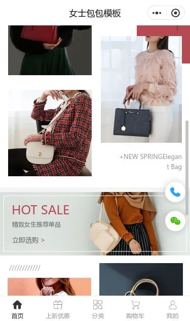 女士包包商城小程序模板第2个页面预览