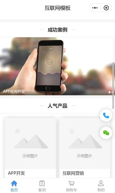 互联网平台开发服务小程序模板第2个页面预览