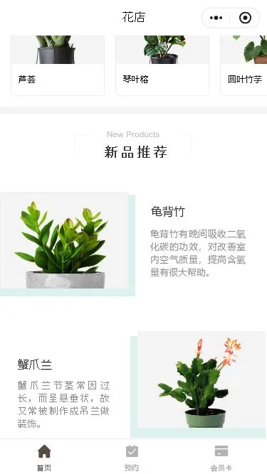 绿色植物门店小程序模板第3个页面预览