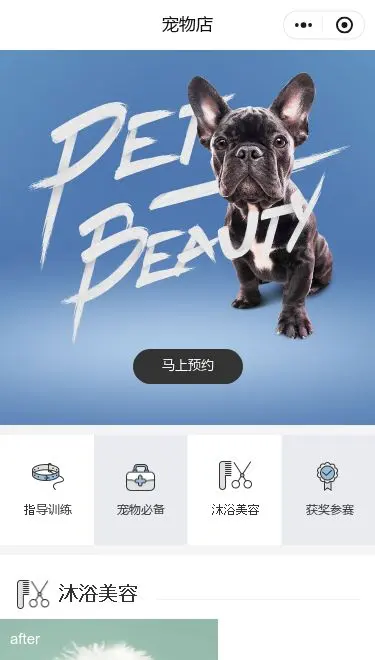 萌宠洗护服务小程序模板首页预览