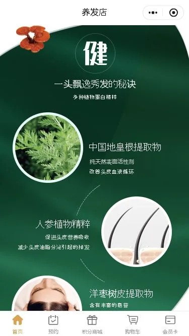 头皮养护门店小程序模板第3个页面预览